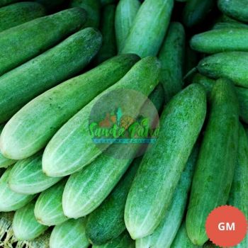 Cucumber (Desi Kakudi), 500gm